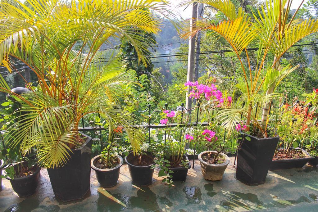 Yes Paradise Kandy Buitenkant foto